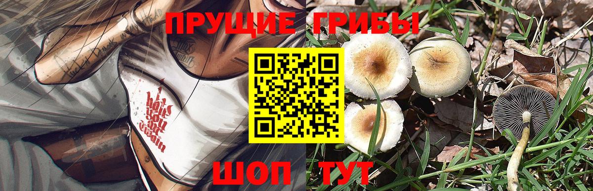 Галлюциногенные грибы мухоморы  Вход с VPN  Калуга 